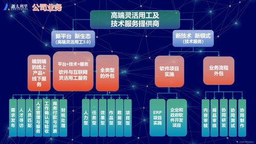 軟件及互聯(lián)網(wǎng)高端靈活用工與技術服務提供商
